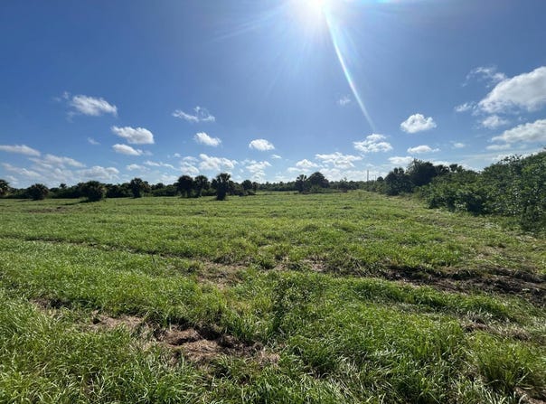 7024  Grove Blvd, Punta Gorda, FL 33982
