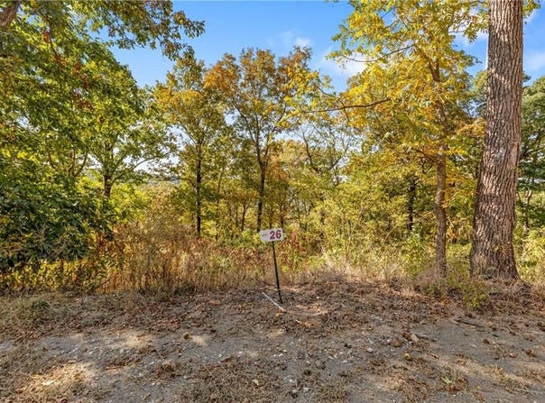 Lot 26 Peaceful  PL, Harrison, AR 72601