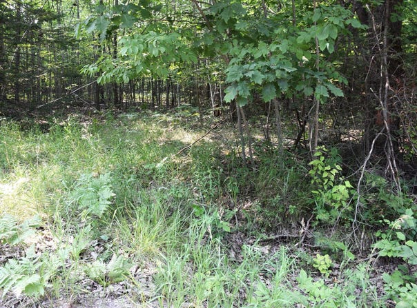 1825 DERBY ROAD, INDIAN RIVER, MI 49749