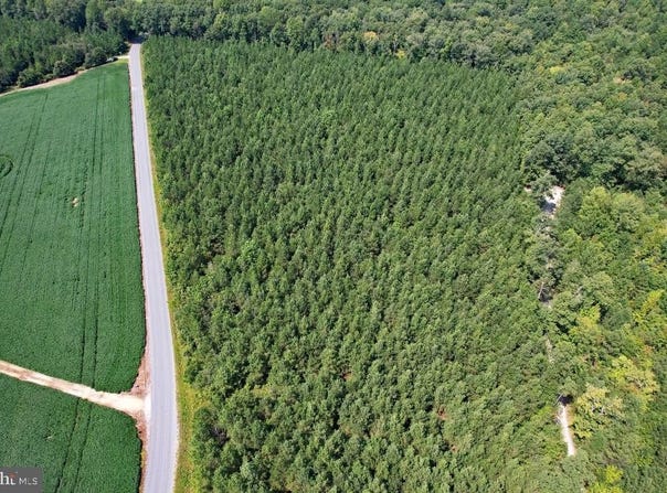 0 LEWIS MOORE ROAD, RUTHER GLEN, VA 22546