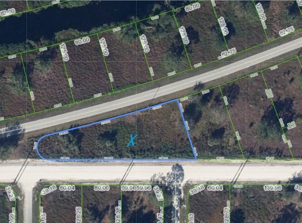 345 Parker NE St, Lake Placid, FL 33852