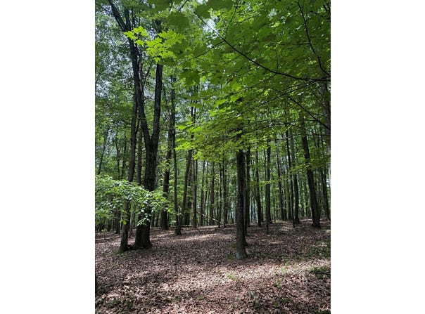 00 Stephens Lane, Huntingdon, PA 16652