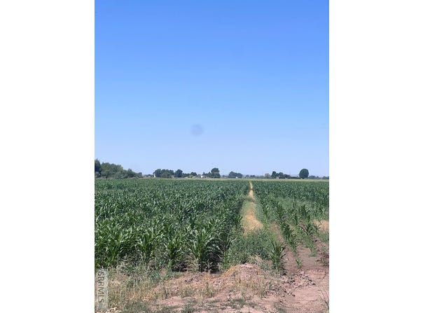 Tbd N 55th E, Idaho Falls, ID 83401