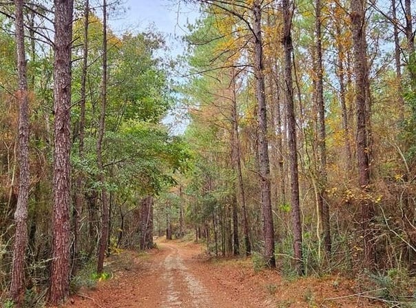 Nhn Firefox, Poplarville, MS 39470