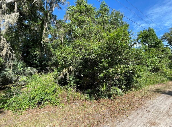 NE 37TH TERRACE, CITRA, FL 32113