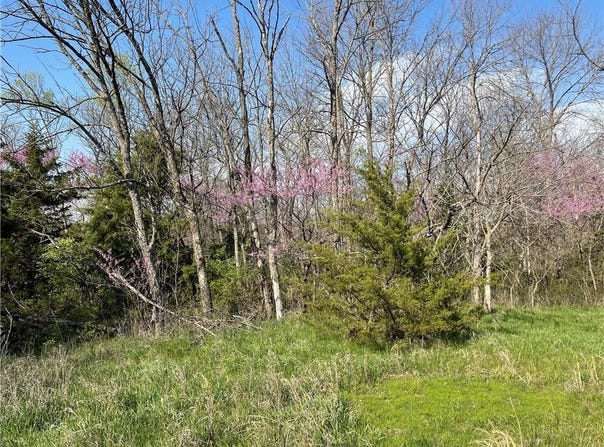 E 235th Street, Peculiar, MO 64078