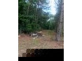 1070 California Boulevard, Sumter, SC 29153