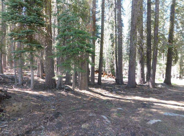 Kitch Trail, Tamarack, CA 95223