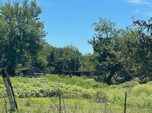 918 S Ellis Street, Groesbeck, TX 76642