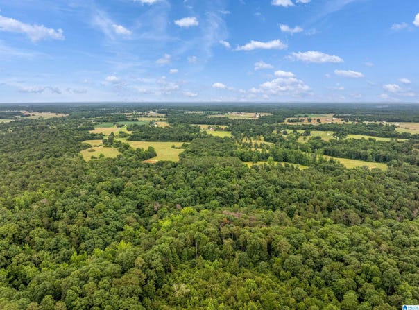 COUNTY ROAD 605 lot: 0, SECTION, AL 35771