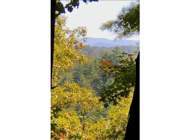 Lot 157 Roaring Forks Lane, Ellijay, GA 30540