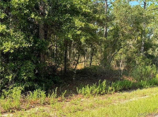 Dunnellon, FL 34431