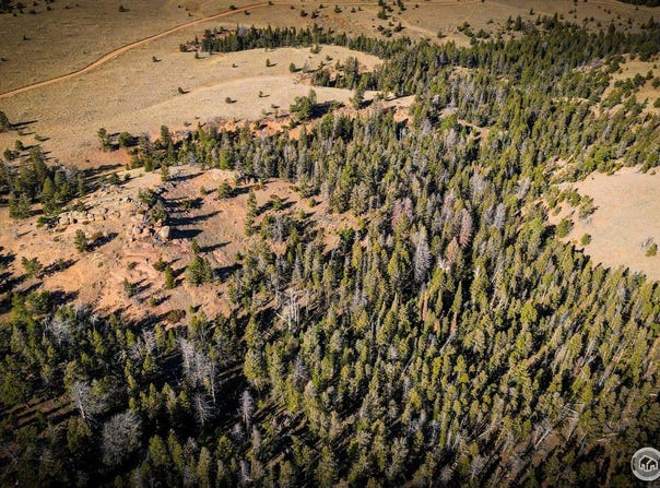 Wilderness Ranch Rd, Red Feather Lakes, CO 80545
