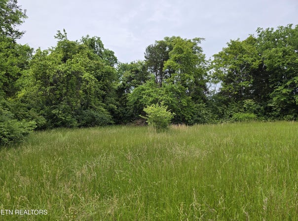 Tbd BOATMANS MOUNTAIN-TR 1 Rd, Morristown, TN 37814