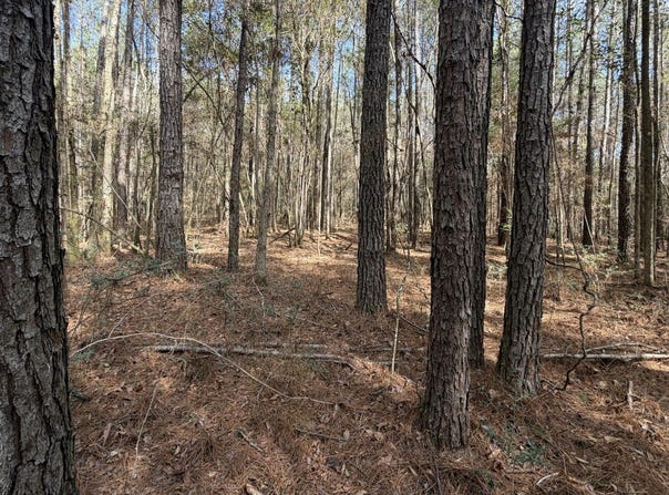 0 Tiger Drive, Elba, AL 36323