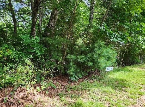 Barebridge Drive unit: 9, Burnsville, NC 28714