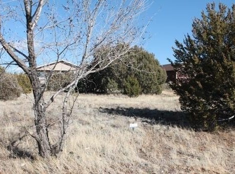 601 S Rock Ridge Drive, Show Low, AZ 85901
