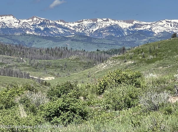 Tbd FISHERMAN CREEK / CHIPPEWAUGH Road, Bondurant, WY 82922