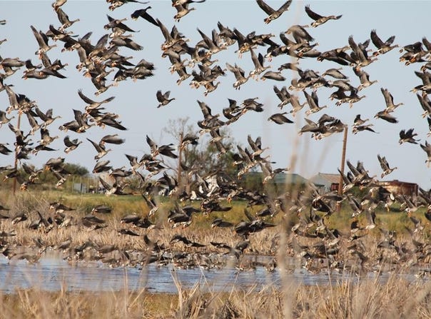 359 Acres CR 164, No City, TX 79521