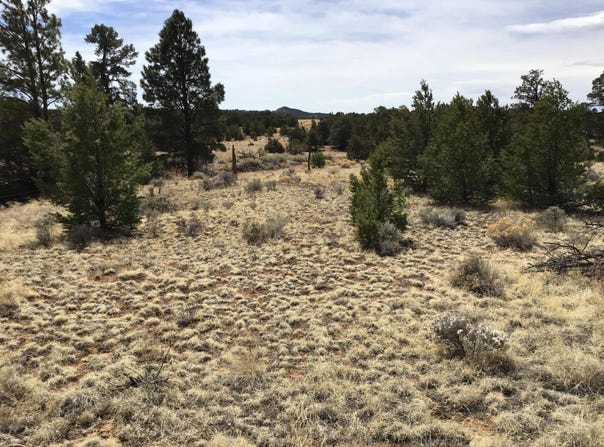 Lot 682 Che Loop, Ramah, NM 87321