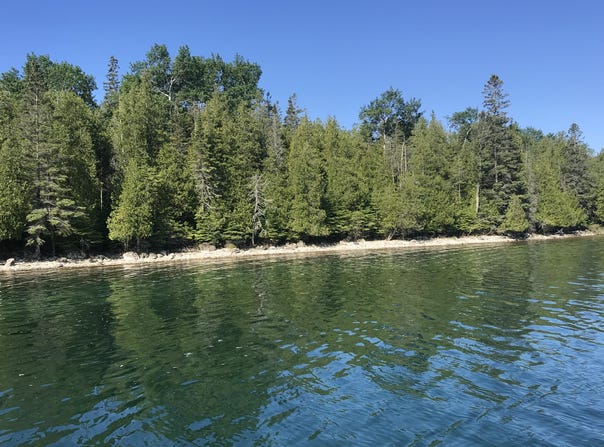 TBD S CORYELL ISLAND, CEDARVILLE, MI 49719
