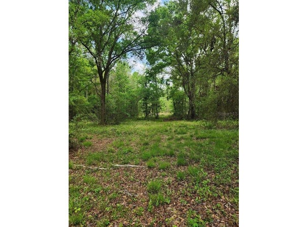 4611 NW 244TH AVENUE, ALACHUA, FL 32615