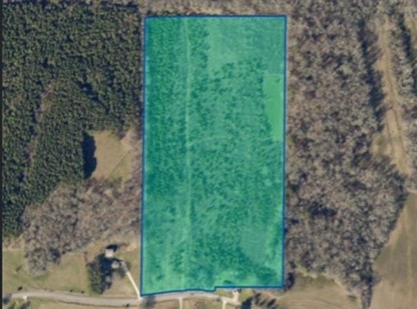 20.6 acres Co Rd 321, Moulton, AL 35650