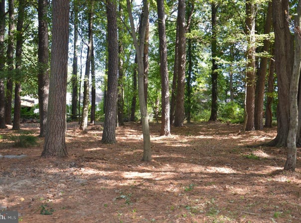 912 CALVERT AVE., SAINT MICHAELS, MD 21663