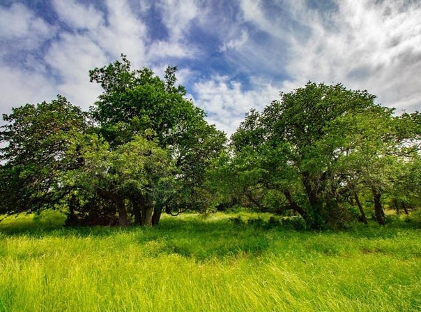 Tbd N. College Rd, Bryson, TX 76427