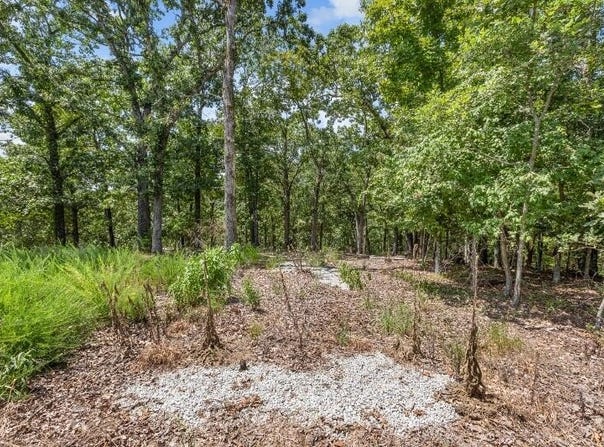 122 Whispering Hill Drive, Blue Eye, MO 65611
