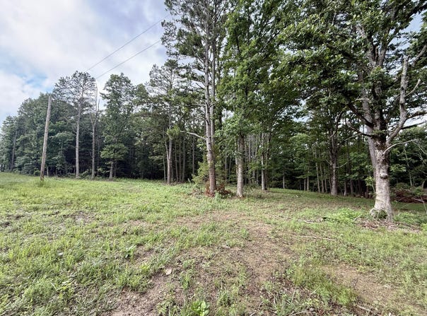 W Highway 32, Licking, MO 65542