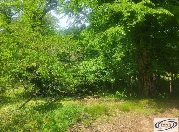 Park, PARIS, TN 38242
