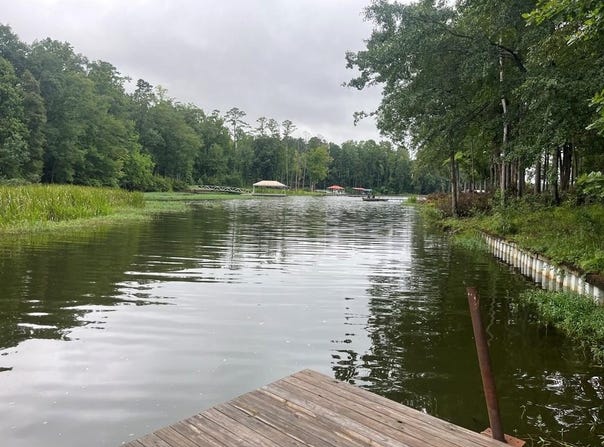 1385 Calhoun Drive, Abbeville, AL 36310