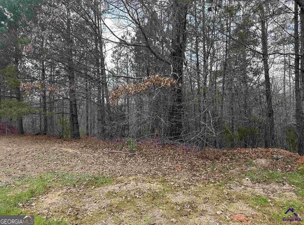322 Wilsons Creek, Bonaire, GA 31005