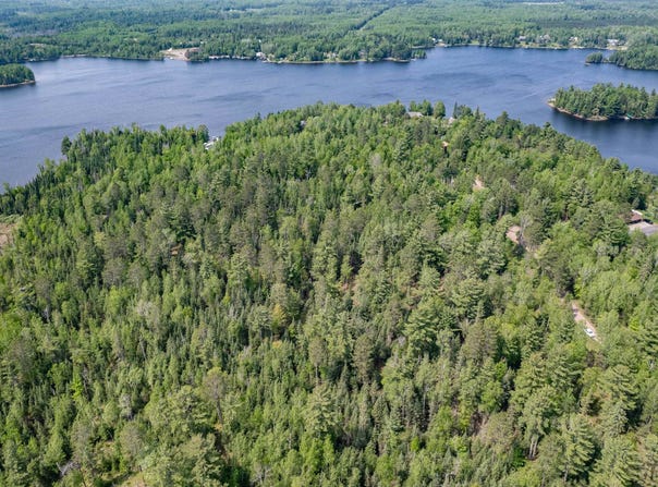 XXX Forest Dr, Duluth, MN 55803