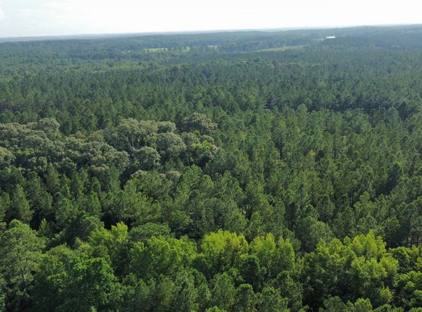 1971 CR 266, Lanett, AL 36863