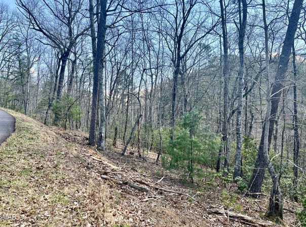 4010 Fox Hunters Lane, Sevierville, TN 37876