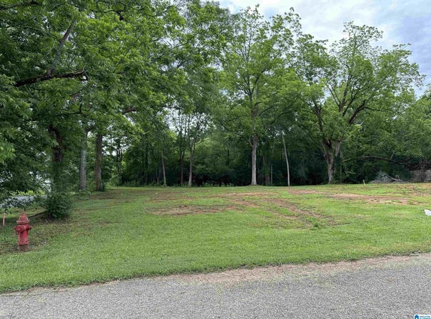 381 ASHLAND AVENUE lot: 1, WADLEY, AL 36276