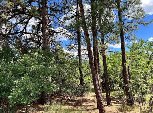 0 Block 2, Lot 15, Brazos Estates, Chama, NM 87520