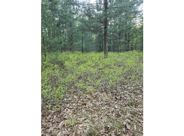 V/L PENTWATER Boulevard, Pentwater, MI 49449