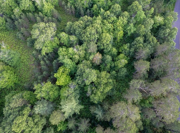 Lot 18 DADS LAKE RD, Eagle River, WI 54521
