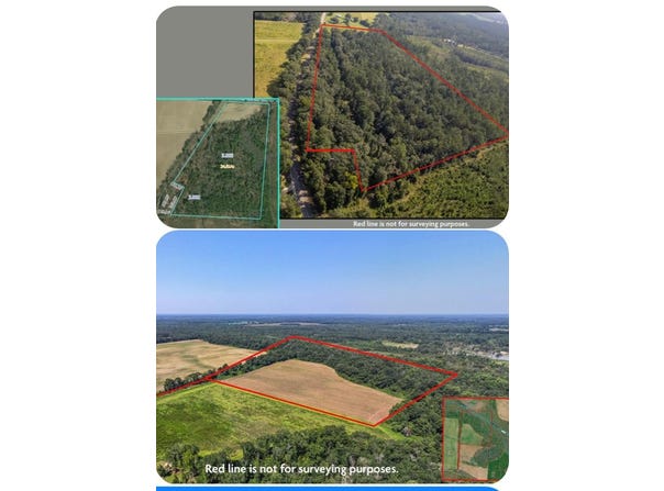 0 Mount Zion Rd, Cottonwood, AL 36320
