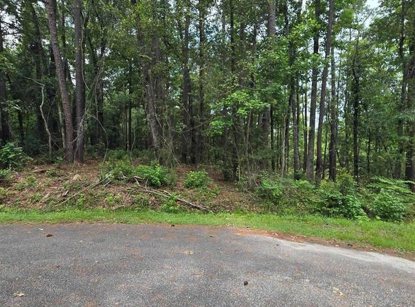 1051 Irene Ct., Conway, SC 29526