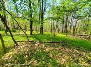 Piney Lane, Cragsmoor, NY 12420