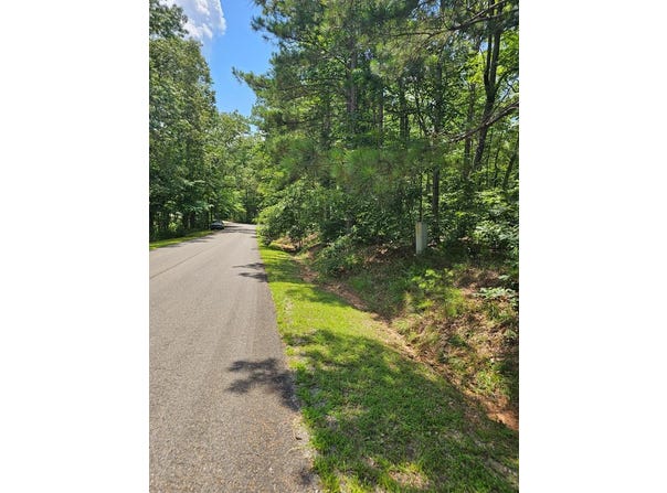 Harris Ridge Drive, Ellijay, GA 30540