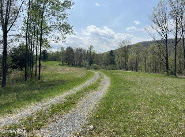 10793 ROSE VALLEY ROAD, Trout Run, PA 17771