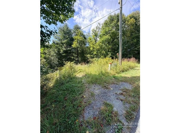 101 Pleasant Home, Sparta, NC 28675