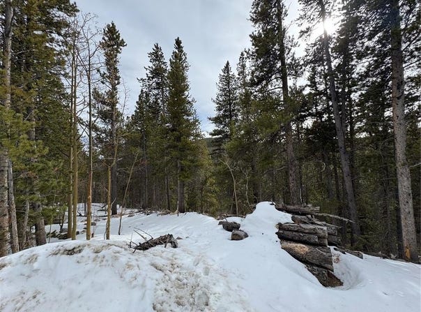 649 VISTA ROAD, Idaho Springs, CO 80452