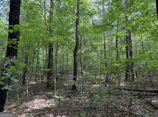 8 Acres Us Highway 80, Roberta, GA 31078