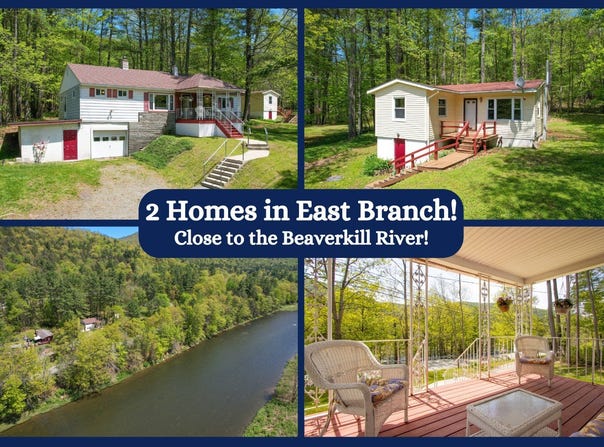 10313 County Highway 17, East Branch, NY 13756